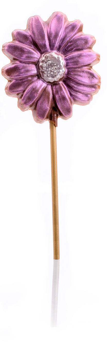 Handpainted Flower Pops